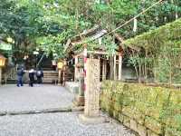 高千穗神社 在百年大樹下祈福的能量景點