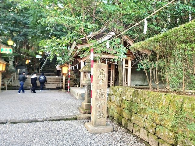 高千穗神社 在百年大樹下祈福的能量景點