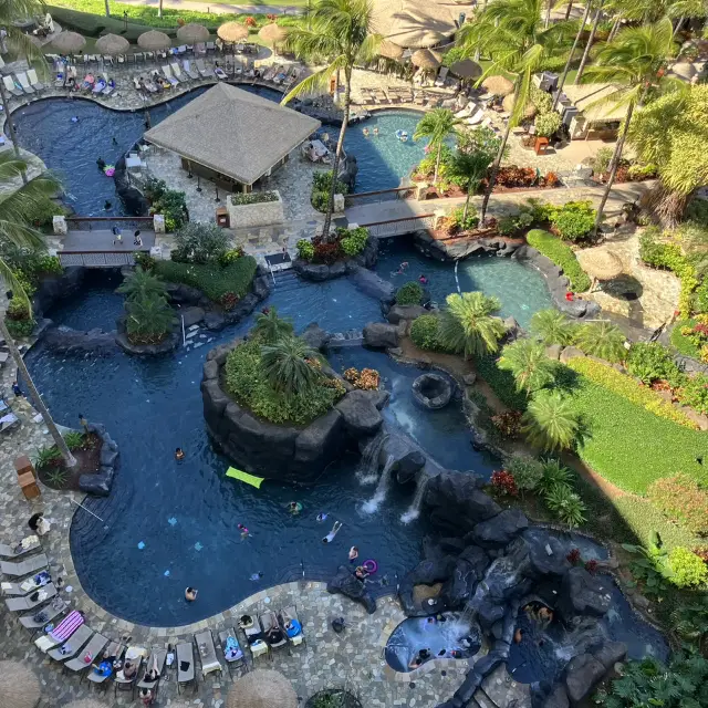 2023-2024년 정월 하와이 여행