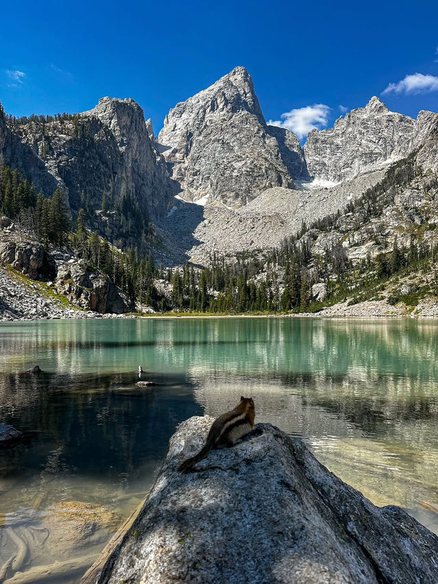 A Day at Grand Teton National Park