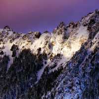  ❄️Washington Should Be Your Next Christmas Vacation 🎅🏼