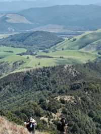 Step Into Paradise: Hiking Nelson Lakes National Park