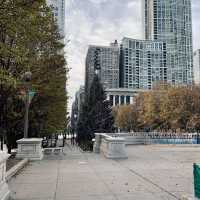 Christmas at Millennium Park, Chicago