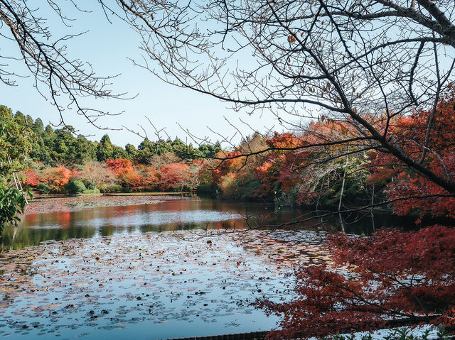 Ryoanji