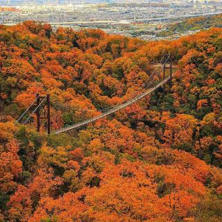 โฮชิ โนะ บูรันโกะ