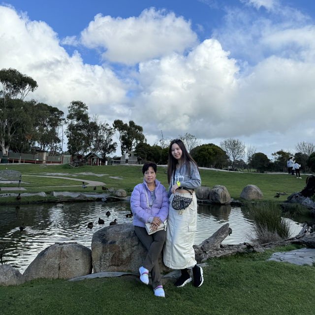 Wonderful Visit to Maru Koala and Animal Park