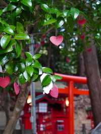 CMで話題となった光の道  3つの日本一がある神社