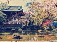 東京🇯🇵西新井大師寺廟