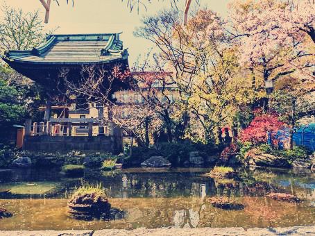 東京🇯🇵西新井大師寺廟