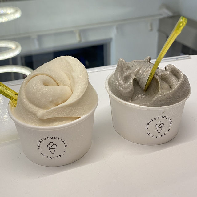 🍨순두부 젤라또가 맛있는 강릉 카페🤍
