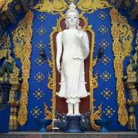 พุทธศิลป์แห่งศรัทธา @ วัดร่องเสือเต้น เชียงราย