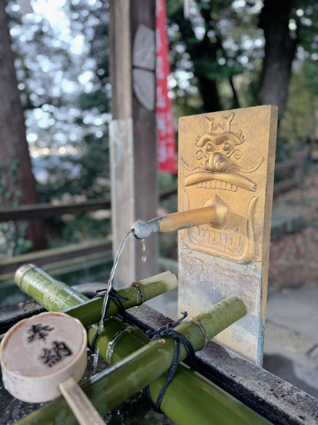 【栃木】猫好きさんには行ってほしい‎🤍御朱印がとても素敵な神社⛩✨