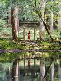 【福井県/勝山市】苔寺と呼ばれ、1300年以上歴史あるテラス