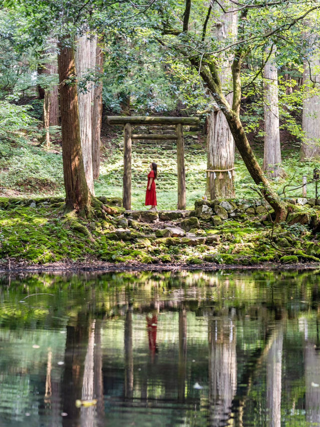 【福井県/勝山市】苔寺と呼ばれ、1300年以上歴史あるテラス