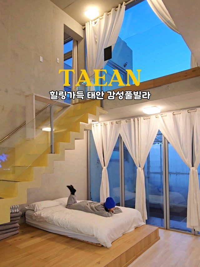 힐링가득 따뜻한 온수풀이 있는 태안풀빌라💙