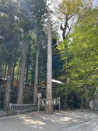 【長野】全国2.5万社以上ある諏訪神社の総本社でパワーチャージ!!