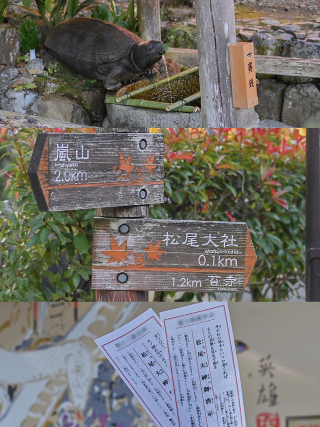 【京都】嵐山駅から1駅"松尾大社"の魅力⛩️