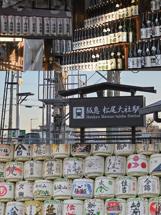 【京都】嵐山駅から1駅"松尾大社"の魅力⛩️