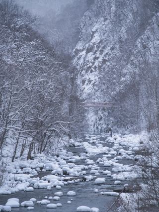 【北海道】這裡是札幌市內？？從市區搭巴士即可抵達的溫泉勝地