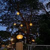 Enjoy Torres Farm with hassle free travel 