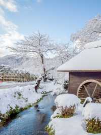 Winter In Oshino Hakkai วิวภูเขาไฟฟูจิ ❄️☃️ 