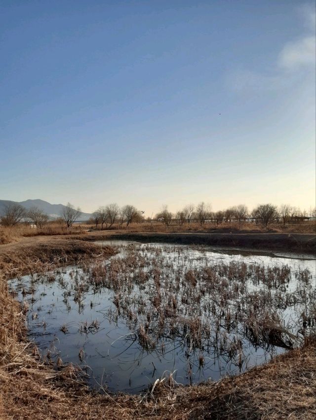 🌿 삼락생태공원, 자연 속에서 힐링하는 시간 🌞