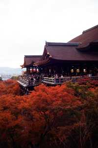 Night Photography Extravaganza -- The Kiyomizu-dera 