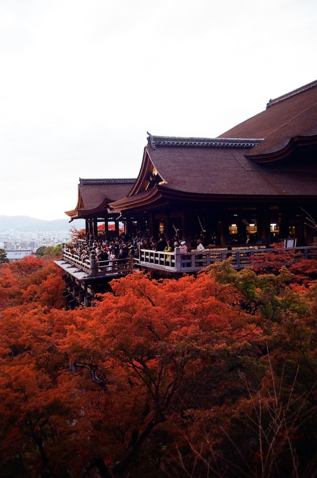 Night Photography Extravaganza -- The Kiyomizu-dera 