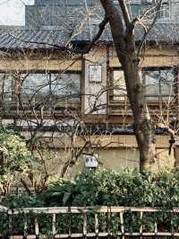 A Glimpse of Kyoto: Tranquility and Tradition in Arashiyama