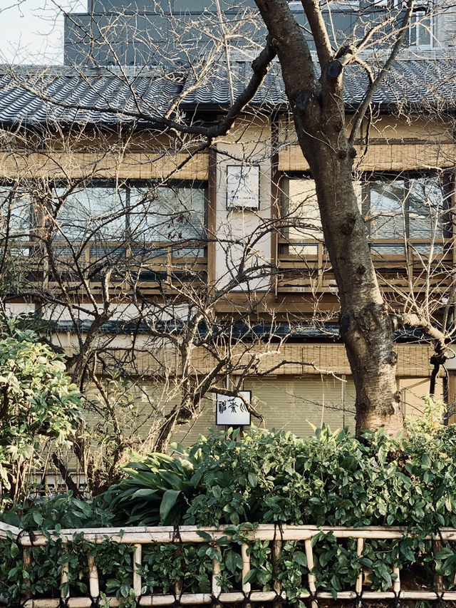 A Glimpse of Kyoto: Tranquility and Tradition in Arashiyama