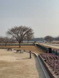 경주 여행가면 무조건 가야하는 ‘첨성대’