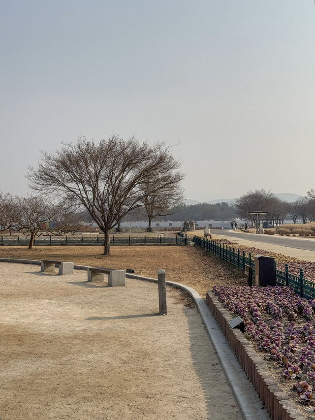 경주 여행가면 무조건 가야하는 ‘첨성대’