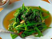 “ร้านบ้านดิน”ร้านอาหารจีนบนดอยผาตั้ง