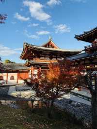 宇治｜欲知極樂必拜宇治御寺 平安時代的人間淨土-平等院
