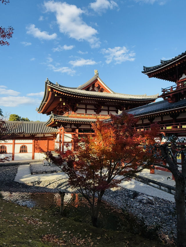 宇治｜欲知極樂必拜宇治御寺 平安時代的人間淨土-平等院