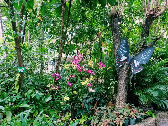 泰國曼谷特色博物館景點:曼谷蝴蝶館。免費參觀，適合打卡拍照📸親子遊