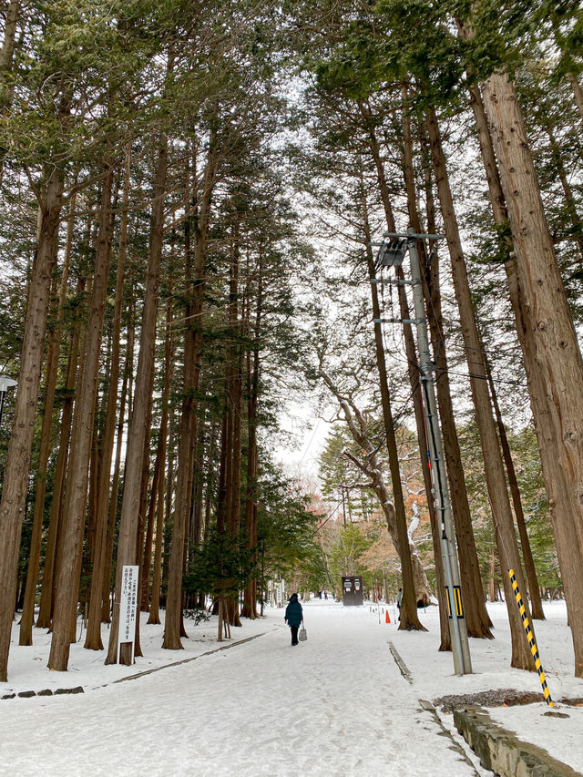 Beautiful Hokkaido Shrine