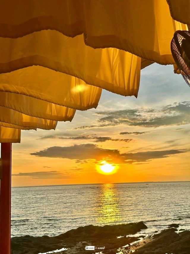 Casa Tropika 🌴🍋✨🌹📍