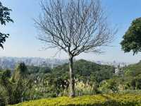 虎頭山環保公園～金屬飛機