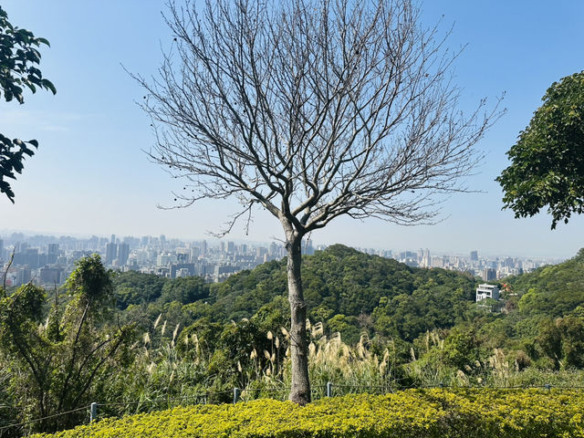 虎頭山環保公園～金屬飛機