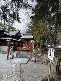 【福岡観光】御神木の大きさに驚き🌳地元で愛される神社⛩