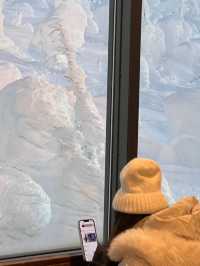 แพลนเดินทางไปเมือง Zao Onsen ดูปีศาจหิมะ