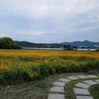 水の庭園 