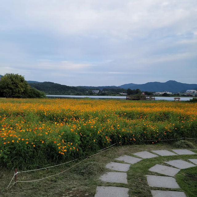 水の庭園 