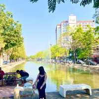 พากิน-เที่ยว เชียงใหม่ในครึ่งวัน