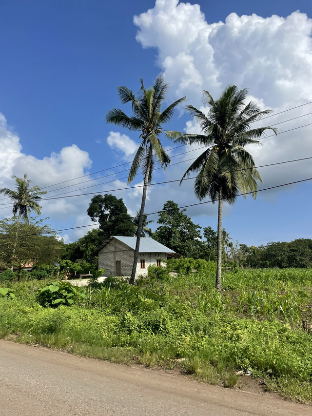 Life on the Outskirts of Tambolaka: Everyday Scenes Worth Seeing