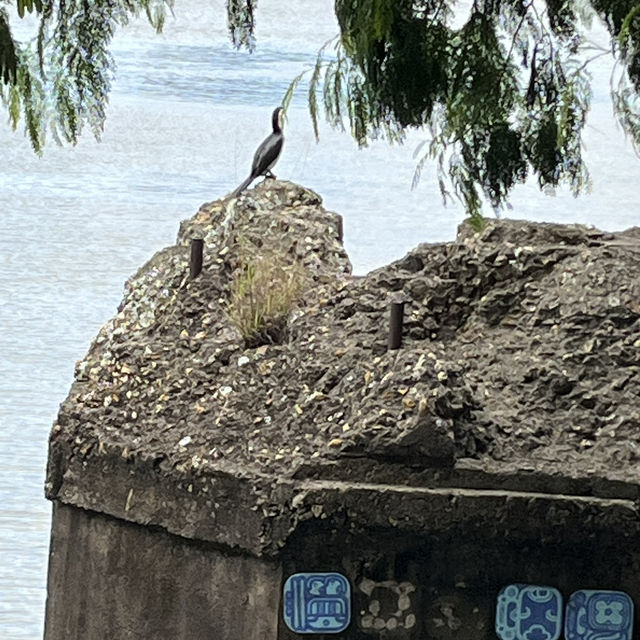 Southbank, kangaroo point and Brisbane city trip