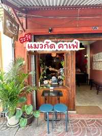 ระวัง!! แมวกัด คาเฟ่ 🐈 แวะกินกาแฟเล่นน้องแมว