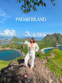 6 DESTINATIONS IN 1 DAY: LABUAN BAJO DAY TOUR 🇮🇩