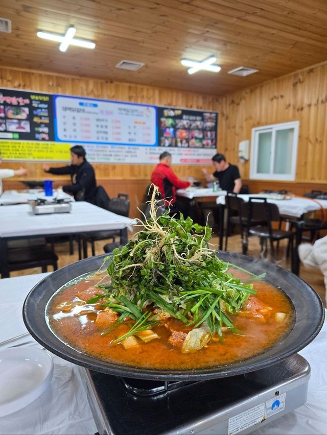 태백 올때마다 꼭 가야하는 현지인맛집🧡